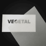 PAPEL VEGETAL (CANSON)